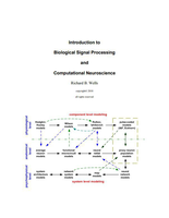Biological Signal Processing