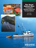 The Great Salmon Run: Competition between Wild and Farmed Salmon