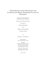 Neuromodulation Strategies for Controlling Brain Network Plasticity Dynamics