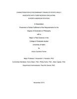 CHARACTERIZATION OF RECOMBINANT STRAINS OF POTATO VIRUS Y ASSOCIATED WITH TUBER NECROSIS CIRCULATING IN NORTH AMERICAN POTATOES
