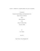 AGENCY, COMMUNITY, LEARNING-RISKS, AND ADULT LEARNERS
