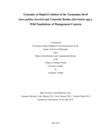 Genomics of Rapid Evolution in the Tasmanian Devil (Sarcophilus harrisii) and Tamarisk Beetles (Diorhabda spp.), Wild Populations of Management Concern