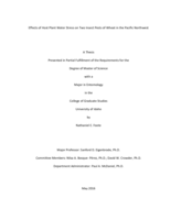 Effects of Host Plant Water Stress on Two Insect Pests of Wheat in the Pacific Northwest