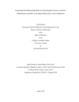 Examining the Relationship Between Psychological Factors and Pain, Disablement and QOL in an Injured Physically Active Population