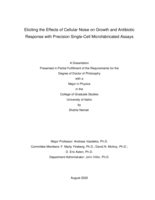 Eliciting the Effects of Cellular Noise on Growth and Antibiotic Response with Precision Single-Cell Microfabricated Assays