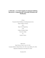 A Molecular - Level Interrogation of Ammonia Oxidizing Bioreactors: Comparing and Contrasting Nitritation and Nitrification