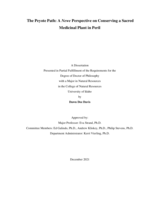 The Peyote Path: A Newe Perspective on Conserving a Sacred Medicinal Plant in Peril