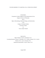 The Mechanisms of Chlamydial Cell-form Development