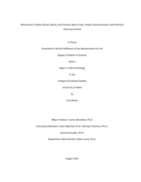 Rhizoctonia in Idaho Wheat, Barley and Common Bean Crops: Isolate Characterization and Potential Chemical Control