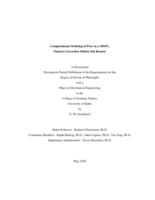 Computational Modeling of Flow in a 10MWe Natural Convection Molten Salt Reactor