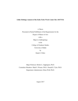 Lithic Debitage Analysis of the Kelly Forks Work Center Site (10CW34)