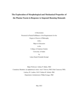 The Exploration of Morphological and Mechanical Properties of the Plantar Fascia in Response to Imposed Running Demands