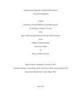 Using Cerebral Organoids to Model HCMV Infection in the Developing Brain