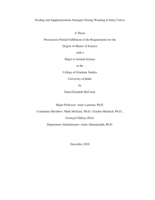 Feeding and Supplementation Strategies During Weaning in Dairy Calves