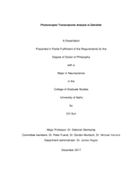 Photoreceptor Transcriptome Analysis in Zebrafish
