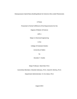 Silsesquioxane Hybrid Nano-Building Blocks for Extreme Ultra-violet Photoresists