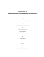 Nanocomposites of  Bacterial Nanocellulose and Paramagnetic Iron Oxide Nanoparticles