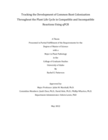Tracking the Development of Common Bunt Colonization Throughout the Plant Life Cycle in Compatible and Incompatible Reactions Using qPCR