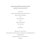 Phenotypic, Spectral Reflectance and Genetic Analysis of Spring Wheat Accessions from the NSGC