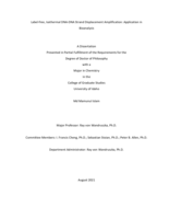 Label-free, Isothermal DNA-DNA Strand Displacement Amplification: Application in Bioanalysis