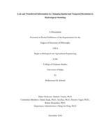 Lost and Transferred Information by Changing Spatial and Temporal Resolution in Hydrological Modeling