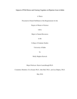 Impacts of Wild Horses and Grazing Ungulates on Riparian Areas in Idaho