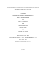 ECOHYDROLOGIC EVALUATION OF RUNOFF AND EROSION PROCESSES ON DISTURBED RANGELAND ECOSYSTEMS