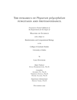 The dynamics ofPhysarum polycephalumfungitaxis and photoavoidance.