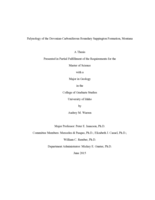 Palynology of the Devonian-Carboniferous Boundary Sappington Formation, Montana