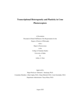 Transcriptional Heterogeneity and Plasticity in Cone Photoreceptors