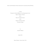 Genetic And Evolutionary Feature Extraction For Autonomous Road Following
