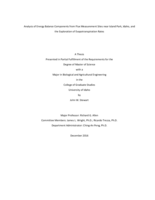 Analysis of Energy Balance Components from Flux Measurement Sites near Island Park, Idaho, and the Exploration of Evapotranspiration Rates