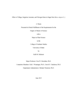 Effect of Tillage, Irrigation Amounts, and Nitrogen Rates in Sugar Beet (Beta vulgaris L.)