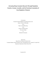 Advancing Sheep Genomics Research Through Population Genetics, Genome Assembly, and the Functional Annotation of Gene Regulatory Elements