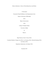 Retina Architecture: A Story of Networking Success and Failure