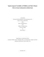 Spatio-temporal Variability of Wildfires and Their Climate Drivers from Continental to Global Scale