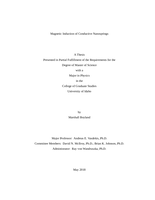 Magnetic Induction of Conductive Nanosprings