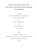 EFFECTS OF NUTRITIONAL MOLECULES IN REGULATION OF ADIPOGENESIS AND KEY ADIPOGENIC GENE EXPRESSION