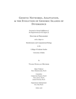 Genetic Networks, Adaptation, and the Evolution of Genomic Islands of Divergence