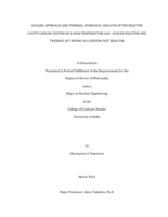 SCALING APPROACH AND THERMAL-HYDRAULIC ANALYSIS IN THE REACTOR CAVITY COOLING SYSTEM OF A HIGH TEMPERATURE GAS -COOLED REACTOR AND THERMAL-JET MIXING IN A SODIUM FAST REACTOR