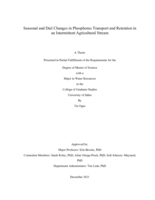 Seasonal and Diel Changes in Phosphorus Transport and Retention in an Intermittent Agricultural Stream