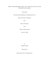 Studies on the relationships of Potato virus Y and Potato leaf roll virus with their aphid vectors in potato