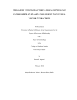The Barley yellow dwarf virus-Rhopalosiphum padi pathosystem: An examination of host plant-virus-vector interactions