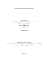 Polarization Amongst the American Public