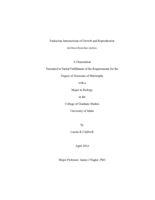 Endocrine Intersections of Growth and Reproduction in Oncorhynchus mykiss