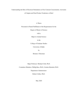 Understanding the Role of Electrical Stimulation on Free Calcium Concentration, Activation  of Calpain, and Final Product Tenderness of Beef