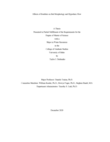 Effects of Boulders on Bed Morphology and Hyporheic Flow