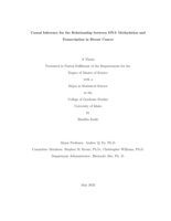 Causal Inference for the Relationship Between DNA Methylation and Transcription in Breast Cancer