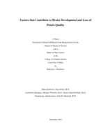 Factors that Contribute to Bruise Development and Loss of Potato Quality