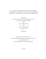 EVALUATION AND TREATMENT OF CHRONIC LOWER EXTREMITY MUSCULOSKELETAL CONDITIONS FROM A REGIONAL INTERDEPENDENCE PERSPECTIVE: A DISSERTATION IN CLINICAL PRACTICE IMPROVEMENT